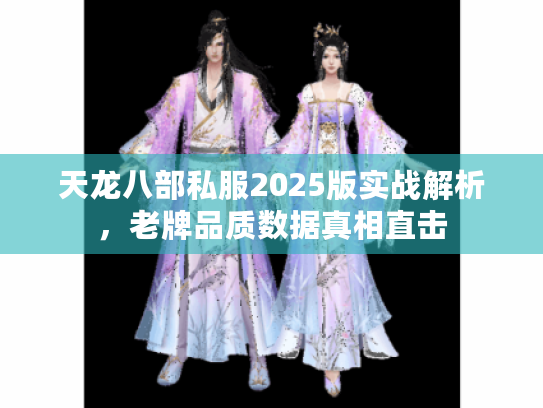 天龙八部私服2025版实战解析，老牌品质数据真相直击