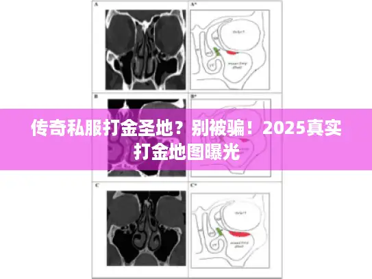 传奇私服打金圣地？别被骗！2025真实打金地图曝光