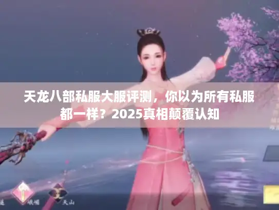 天龙八部私服大服评测，你以为所有私服都一样？2025真相颠覆认知