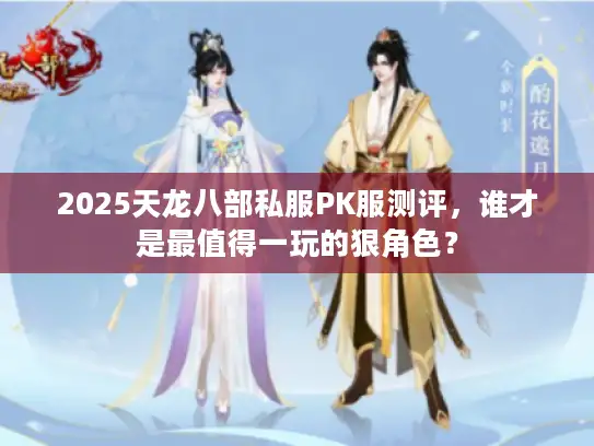 2025天龙八部私服PK服测评，谁才是最值得一玩的狠角色？