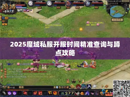 2025魔域私服开服时间精准查询与蹲点攻略