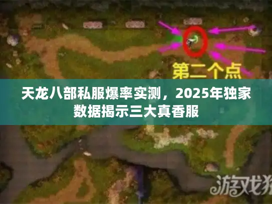 天龙八部私服爆率实测，2025年独家数据揭示三大真香服