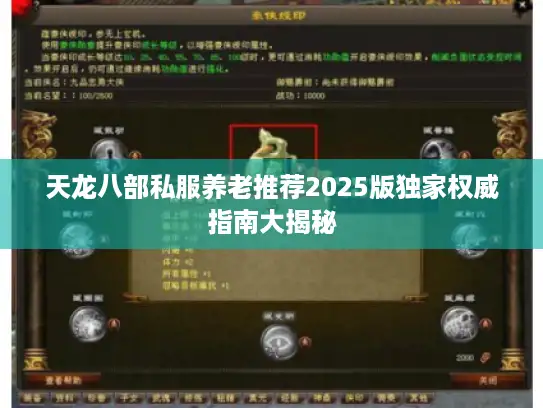 天龙八部私服养老推荐2025版独家权威指南大揭秘