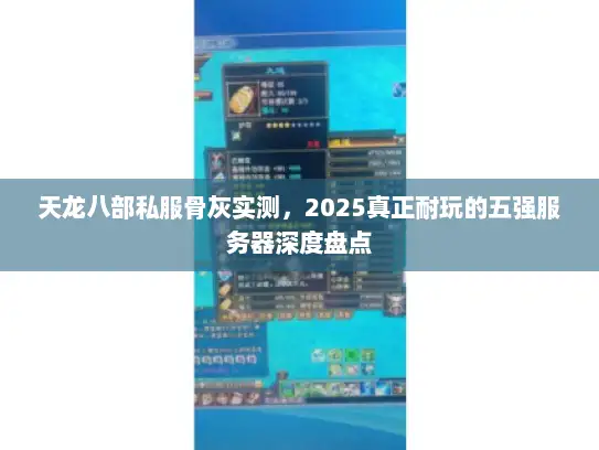 天龙八部私服骨灰实测，2025真正耐玩的五强服务器深度盘点