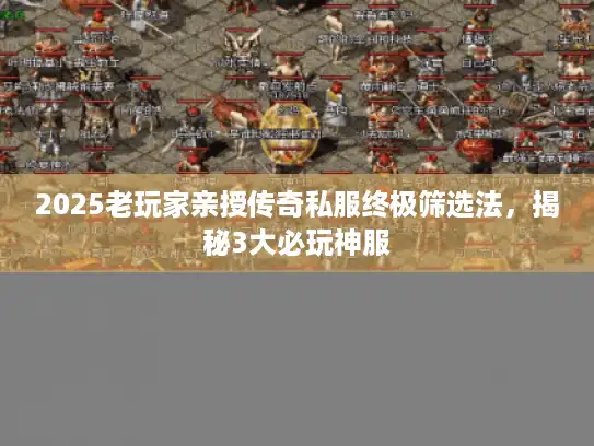 2025老玩家亲授传奇私服终极筛选法，揭秘3大必玩神服