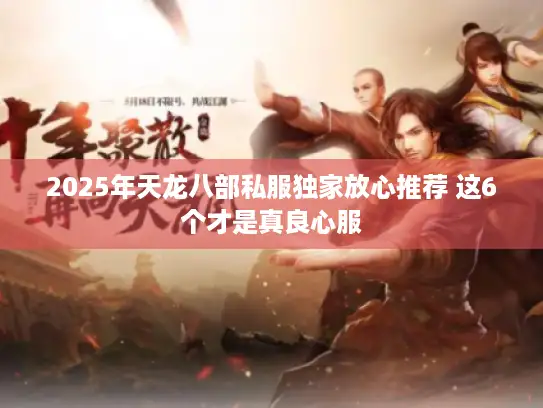 2025年天龙八部私服独家放心推荐 这6个才是真良心服 2025年天龙八部私服独家放心推荐 这6个才是真良心服