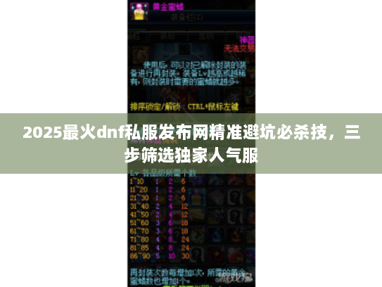 2025最火dnf私服发布网精准避坑必杀技，三步筛选独家人气服