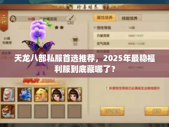 天龙八部私服首选推荐，2025年最稳福利服到底藏哪了？