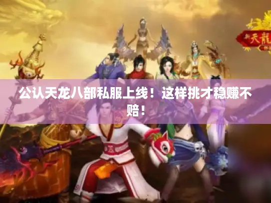 公认天龙八部私服上线！这样挑才稳赚不赔！