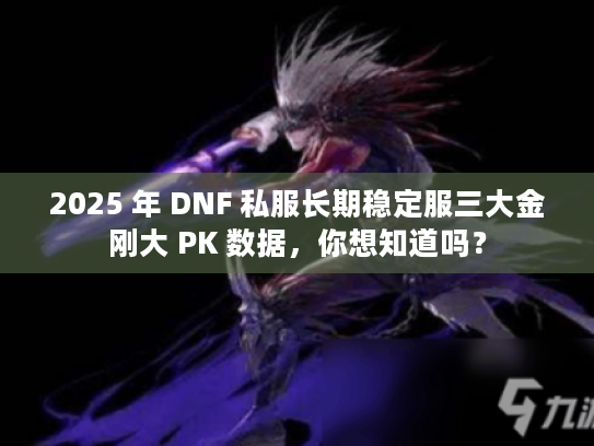 2025 年 DNF 私服长期稳定服三大金刚大 PK 数据，你想知道吗？