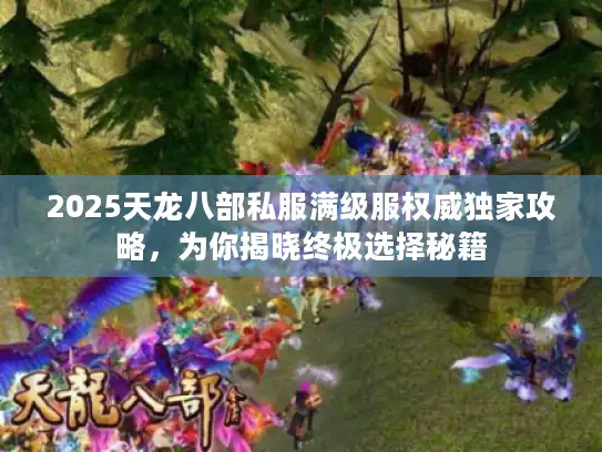 2025天龙八部私服满级服权威独家攻略，为你揭晓终极选择秘籍