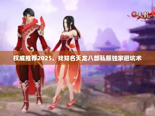 权威推荐2025，找知名天龙八部私服独家避坑术