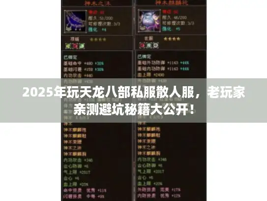 2025年玩天龙八部私服散人服，老玩家亲测避坑秘籍大公开！
