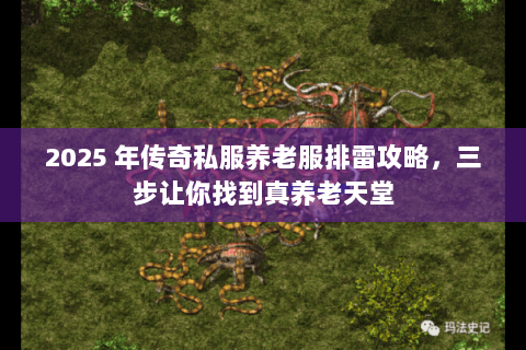 2025 年传奇私服养老服排雷攻略，三步让你找到真养老天堂