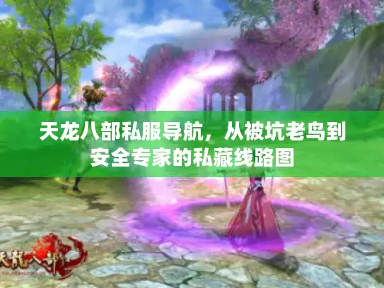 天龙八部私服导航，从被坑老鸟到安全专家的私藏线路图