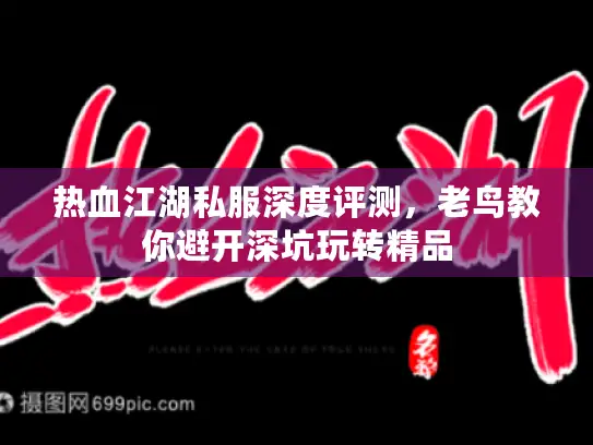 热血江湖私服深度评测，老鸟教你避开深坑玩转精品