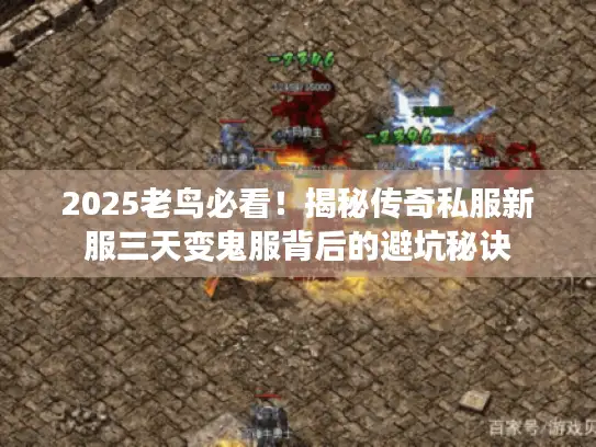 2025老鸟必看！揭秘传奇私服新服三天变鬼服背后的避坑秘诀