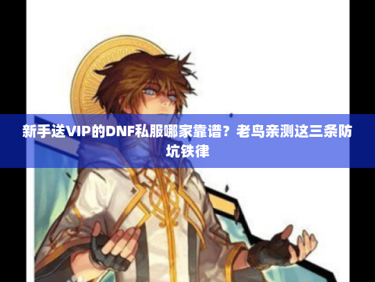 新手送VIP的DNF私服哪家靠谱？老鸟亲测这三条防坑铁律