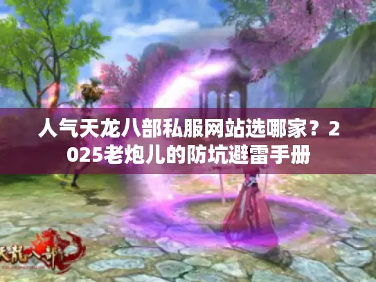 人气天龙八部私服网站选哪家？2025老炮儿的防坑避雷手册