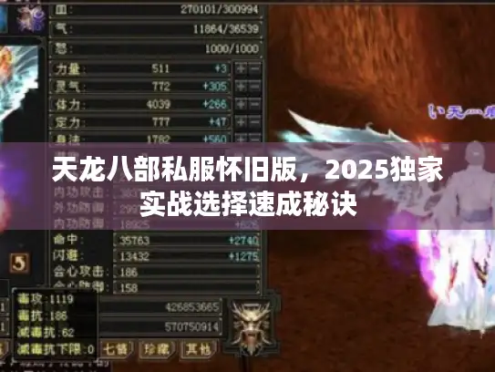 天龙八部私服怀旧版，2025独家实战选择速成秘诀
