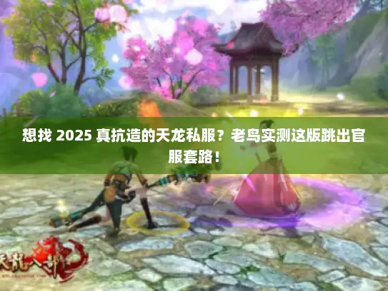 想找 2025 真抗造的天龙私服？老鸟实测这版跳出官服套路！