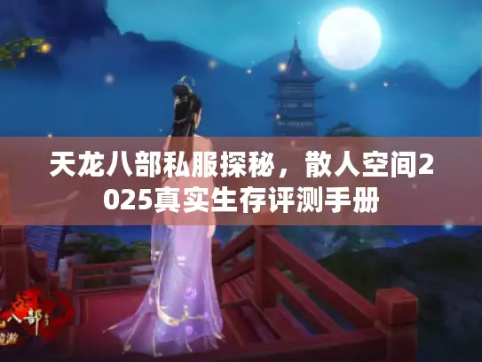 天龙八部私服探秘，散人空间2025真实生存评测手册