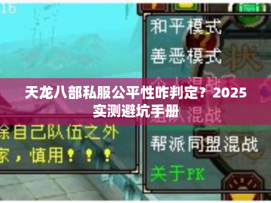 天龙八部私服公平性咋判定？2025实测避坑手册