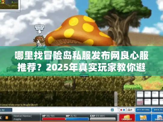 哪里找冒险岛私服发布网良心服推荐？2025年真实玩家教你避坑