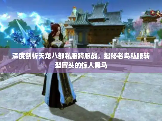深度剖析天龙八部私服跨服战，揭秘老鸟私服转型冒头的惊人黑马