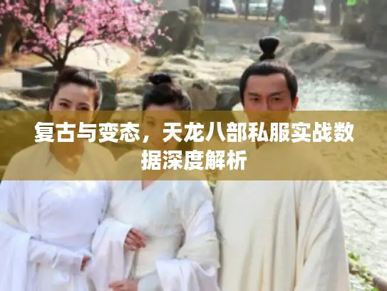 复古与变态,天龙八部私服实战数据深度解析 复古与变态,天龙八部私服实战数据深度解析