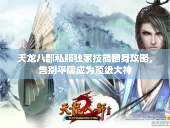 天龙八部私服独家技能翻身攻略,告别平庸成为顶级大神 天龙八部私服独家技能翻身攻略,告别平庸成为顶级大神