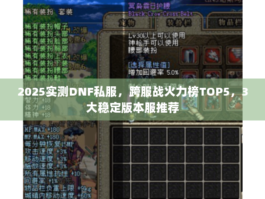 2025实测DNF私服，跨服战火力榜TOP5，3大稳定版本服推荐