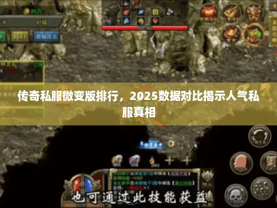 传奇私服微变版排行，2025数据对比揭示人气私服真相