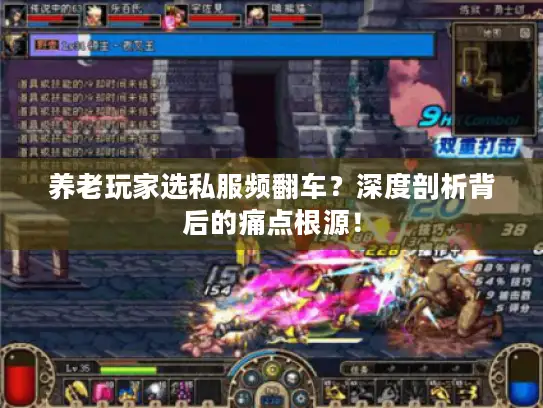 养老玩家选私服频翻车?深度剖析背后的痛点根源! 养老玩家选私服频翻车?深度剖析背后的痛点根源!