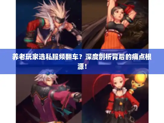养老玩家选私服频翻车?深度剖析背后的痛点根源! 养老玩家选私服频翻车?深度剖析背后的痛点根源!