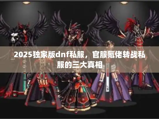 2025独家版dnf私服，官服氪佬转战私服的三大真相