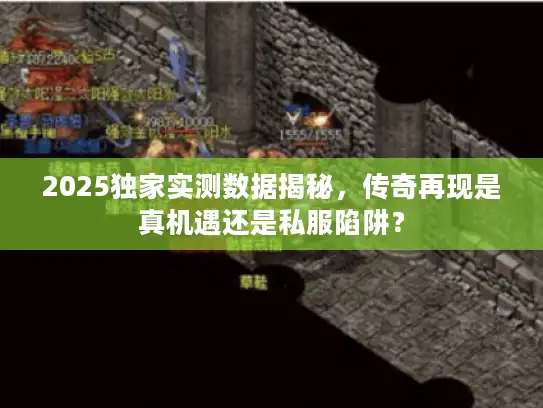 2025独家实测数据揭秘，传奇再现是真机遇还是私服陷阱？