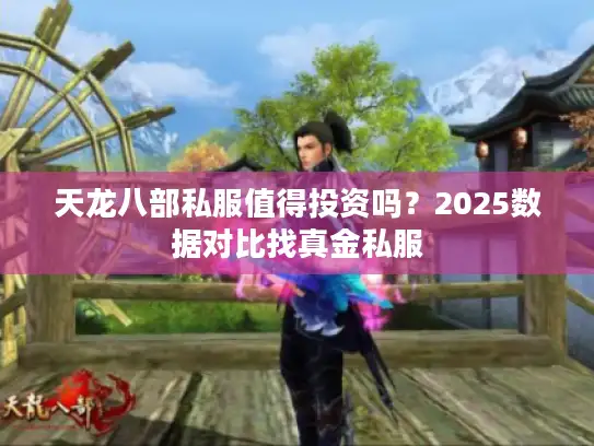 天龙八部私服值得投资吗?2025数据对比找真金私服 天龙八部私服值得投资吗?2025数据对比找真金私服