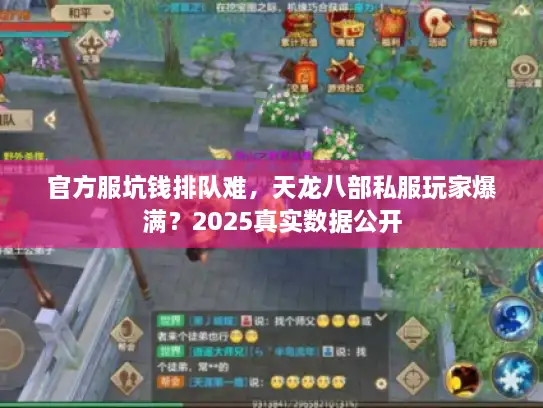官方服坑钱排队难，天龙八部私服玩家爆满？2025真实数据公开