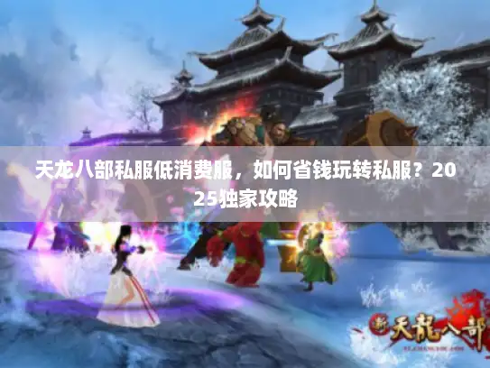 天龙八部私服低消费服，如何省钱玩转私服？2025独家攻略