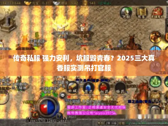 传奇私服 强力安利，坑服毁青春？2025三大真香服实测吊打官服