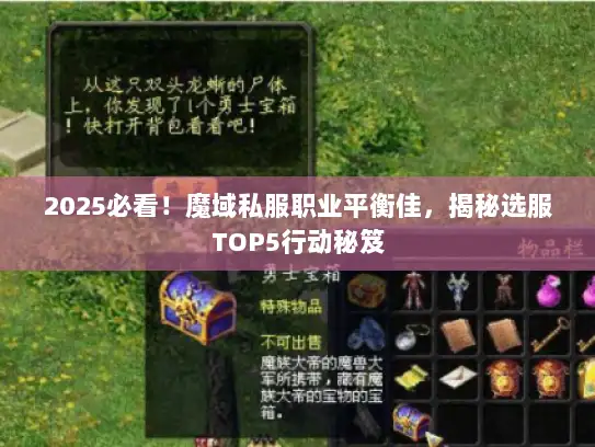 2025必看！魔域私服职业平衡佳，揭秘选服TOP5行动秘笈