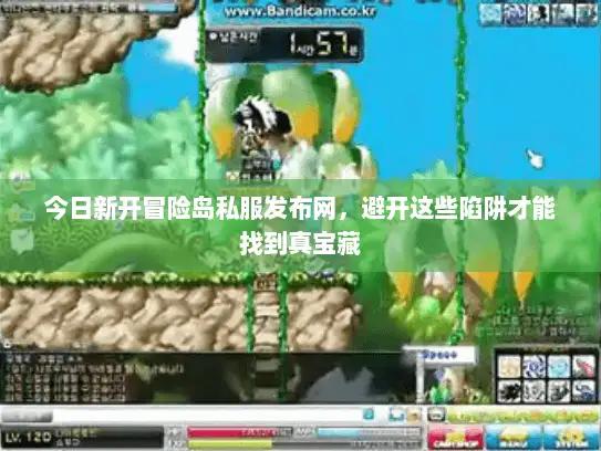 今日新开冒险岛私服发布网，避开这些陷阱才能找到真宝藏