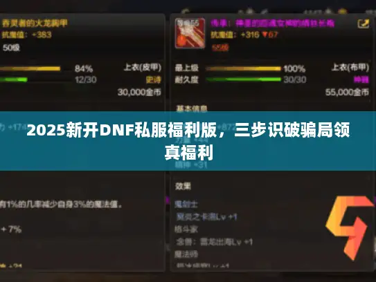 2025新开DNF私服福利版，三步识破骗局领真福利