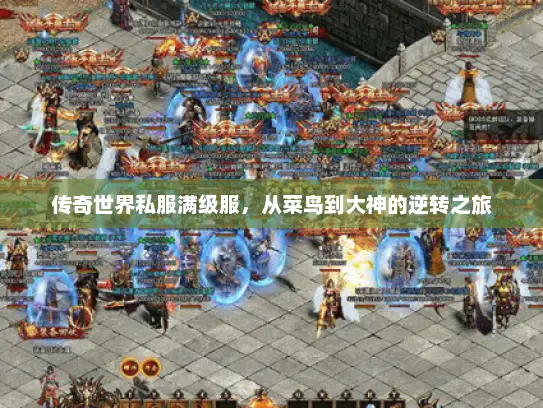 传奇世界私服满级服，从菜鸟到大神的逆转之旅