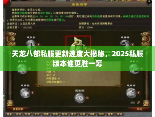 天龙八部私服更新速度大揭秘，2025私服版本谁更胜一筹