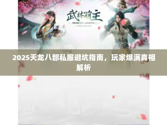 2025天龙八部私服避坑指南，玩家爆满真相解析