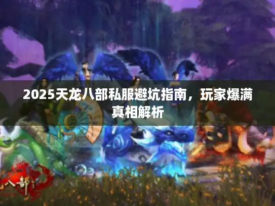 2025天龙八部私服避坑指南，玩家爆满真相解析