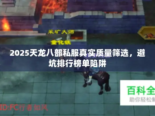 2025天龙八部私服真实质量筛选，避坑排行榜单陷阱