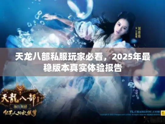 天龙八部私服玩家必看，2025年最稳版本真实体验报告